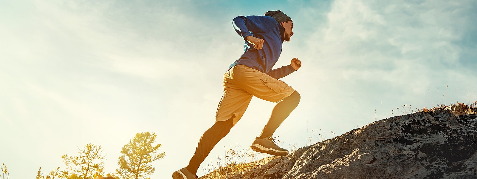 Close-up of a green textured leaf.